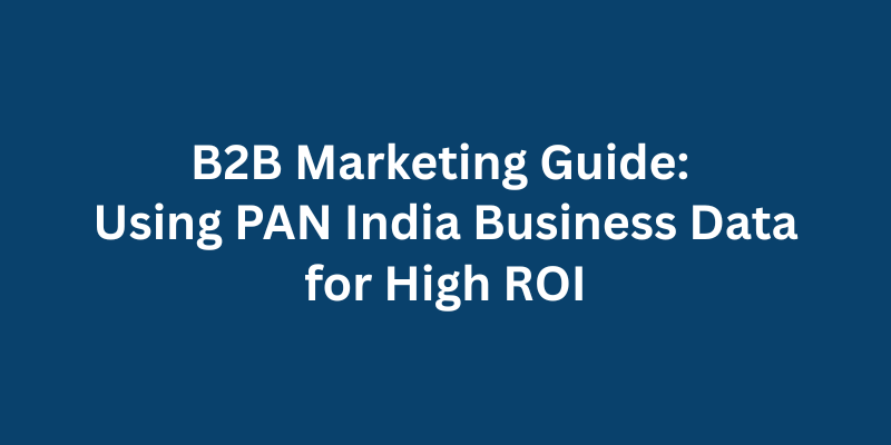 B2B Marketing Guide Using PAN India Business Data for High ROI