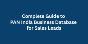Complete Guide to PAN India Business Database for Sales Leads