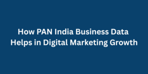 How PAN India Business Data Helps in Digital Marketing Growth