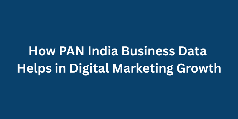 How PAN India Business Data Helps in Digital Marketing Growth