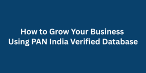 How to Grow Your Business Using PAN India Verified Database